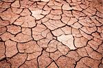 Detail of dry cracked earth