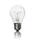 lightbulb is  isolated on a white background