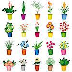 A set of colorful pots of flowers. Vector illustration. Vector art in Adobe illustrator EPS format, compressed in a zip file. The different graphics are all on separate layers so they can easily be moved or edited individually. The document can be scaled to any size without loss of quality.