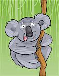 cartoon illustration of funny australian koala