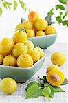 Fruit still life/ yellow damson plum in the plate