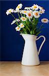 Fresh Oxeye Daisies on table in white Pitcher in interior