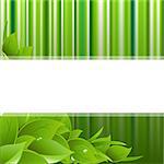 Eco Green Background, Vector Illustration