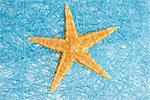 Sea star on blue straw mesh  background.