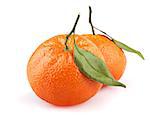 Two ripe tangerines with leaves isolated on white background