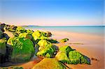 stones in the sea- irland