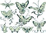 fancy butterfly design