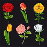 Collection of flowers of different colors. Vector.