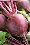 Bunch Of Beetroot