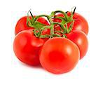 Branch of tomatoes isolated on white background