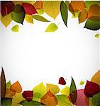 Autumn leafs abstract background with place for your text