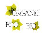 Bio, organic and eco labels with detailed floral elements
