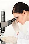 Scientist conducting an experiment looking through a microscope in a lab