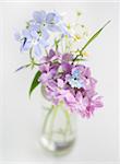 Beautiful spring flowers in a vase