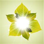 Spring sunny leafs abstract background with place for your text