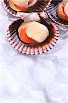 Raw queen scallops (lat. Aequipecten opercularis) on ice (Selective Focus, Focus the front of the scallop's meat)