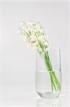 Bouquet of lily of the valley in glass vase