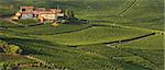 Panoramic view on rural house among vineyards in Piedmont, Italy.