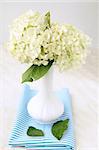 beautiful summer white flowers in a vase