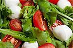Salad with fresh lettuce leaves, tomatoes and Mozzarella