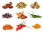 Collection of various spices isolated on white background