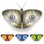 colored butterflies isolated on a white background