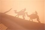 Camel shadows on  Sahara sand in Morocco. Horizontal shot.