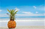 Pineapple on an exotic beach with blue and cloudy sky.