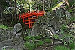 Beautiful Tsutenkyo Bridge in the Koishikawa Korakuen Garden in Tokyo, Japan.