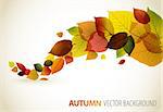 Autumn abstract floral background with place for your text