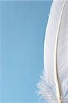 A soft white feather over a calming blue background.