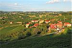 View on small village among vineyards in Piedmont, Italy.