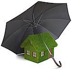 House from the grass under umbrella. isolated on white.