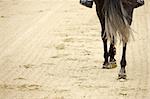 A picture of an equestrian on a horse in motion over natural background