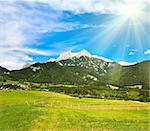 Alps mountain meadow tranquil summer view and sunshine in sky (Austria, Gosau village outskirts)