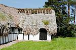 Medieval farm house with sea grass thatched roof