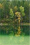 Lac Hintersee à l'automne, Parc National de Berchtesgaden, en Bavière, Allemagne