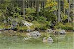 See Hintersee, Nationalpark Berchtesgaden, Bayern, Deutschland