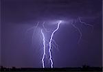 Lightning Strike over Orlando Florida