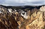 the lower falls in yellowstone national park