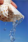Fresh Water trickling from seashell