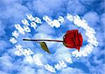 Rose in clouds, heart, loves card, postcard