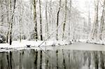 trees covered with snow surround a half frozen lake, hazed