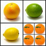 collage of colorfull fruits on white background