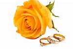 Yellow rose, engagement, anniversary and wedding rings