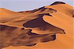 Busy dune in Namibia on the way to Sossusvlei