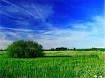 Green meadow and deep blue sky