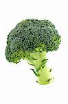 Fresh and healthy broccoli isolated on white background