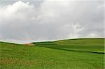 Green Open Farmland with Hills