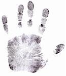 Full Hand black fingerprint - High Resolution monochrome image